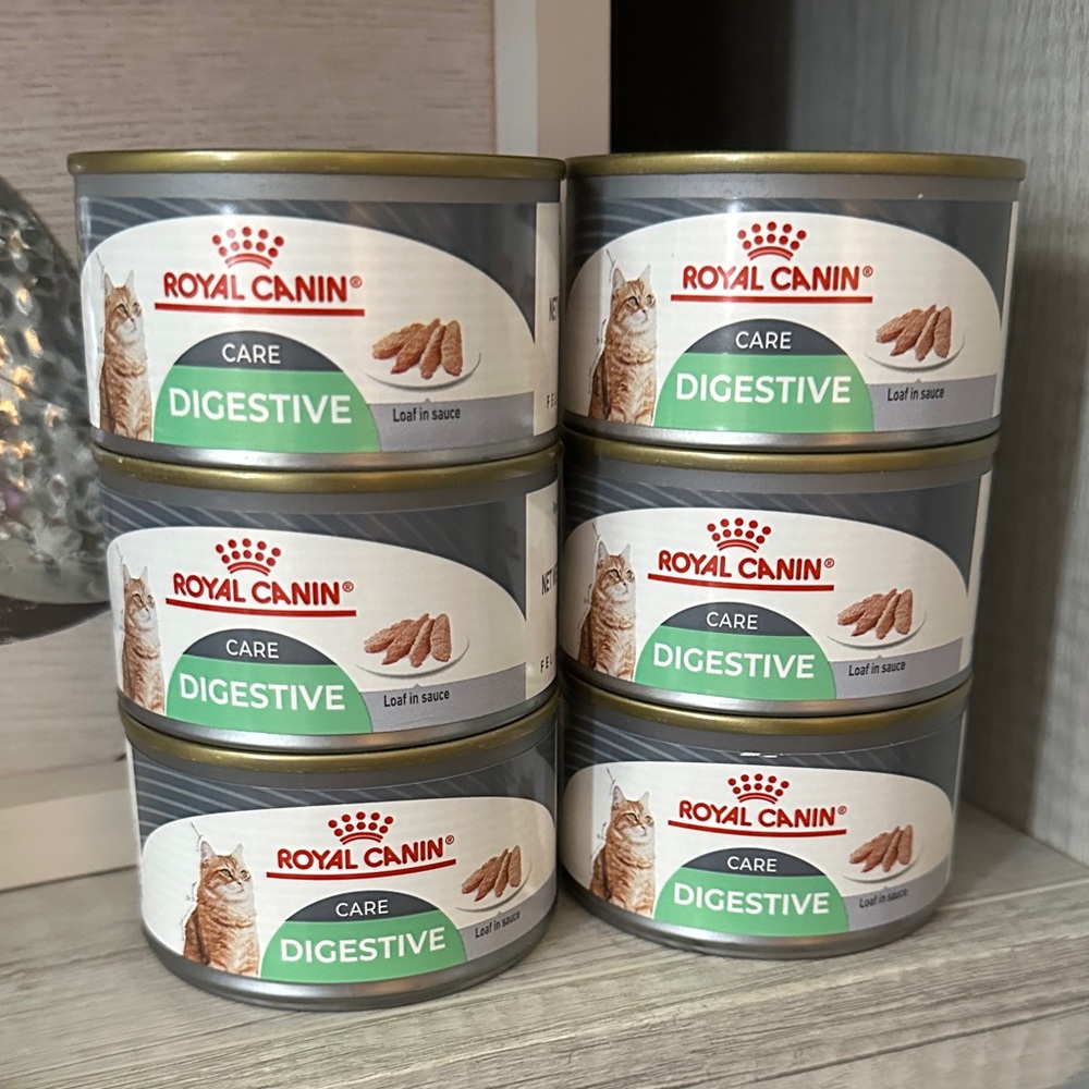 Royal Canin Digestive SENSITIVE Care Cat Food Can Large 5.1Oz. Wet loaf in sauce